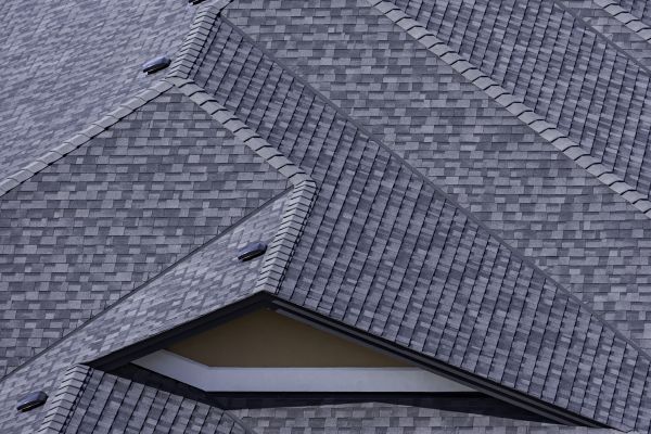 Roof Shingle Maintenance